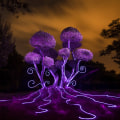 Pintura con luz: cómo capturar impresionantes fotografías nocturnas