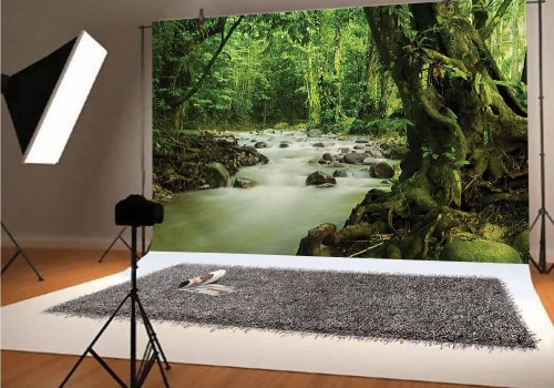 Elegir el fondo adecuado para fotografías de vida silvestre