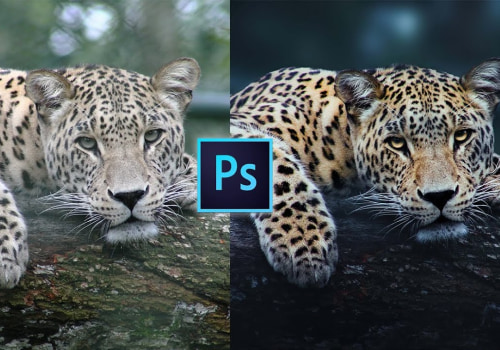 Técnicas de retoque para fotografías de vida silvestre